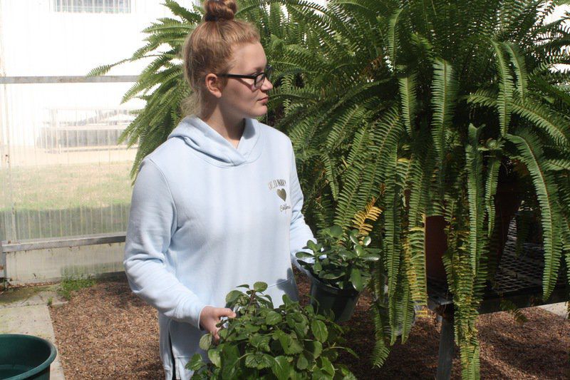 Local chapter readies for national FFA week